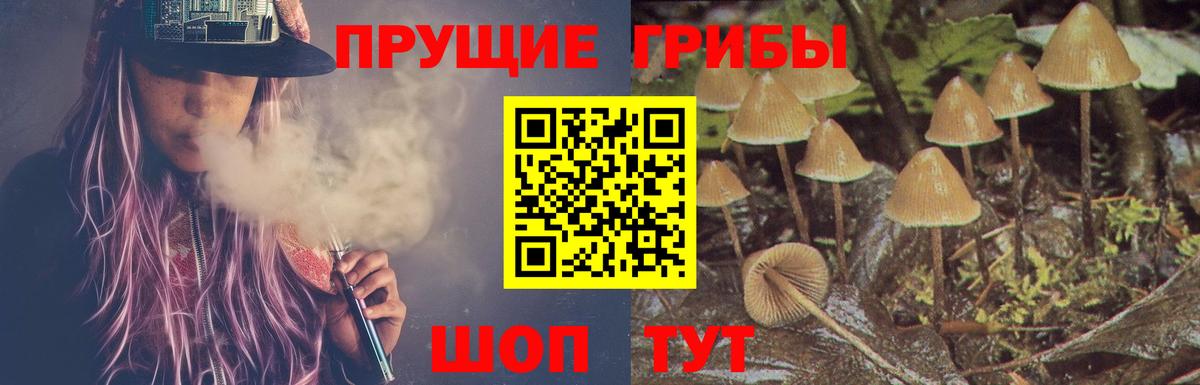 Галлюциногенные грибы Cubensis Каменск-Шахтинский
